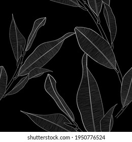 Seamless pattern background with Magnolia branch with leaf drawing illustration. Black white line illustration.