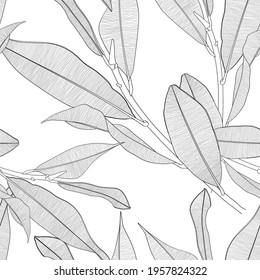 Seamless pattern background with Magnolia branch and leaf drawing illustration. Black white line illustration.