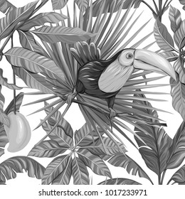 Seamless pattern, background with mango and toucan on white background.   Hand drawn monochrome vector illustration without transparent and gradients.