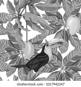 Seamless pattern, background with mango and toucan on white background.   Hand drawn monochrome vector illustration without transparent and gradients.