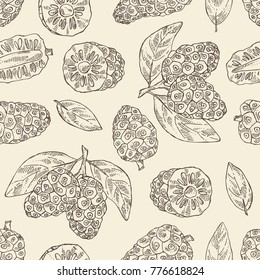Seamless pattern with background with morinda, noni fruit: branch with noni fruit. Super food. Vector hand drawn illustration