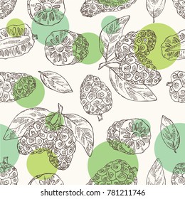 seamless pattern with background with morinda, noni fruit: branch with noni fruit. Super food. Vector hand drawn illustration