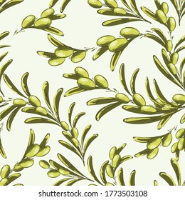 Seamless pattern Background from olive branches. Decorate
  Middle Ages menu, packing olive oil, fabrics, textiles, ceramics, printing, wallpaper. Vector illustration.