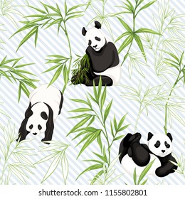 Seamless pattern, background. with pandas and bamboo.  Vector illustration without gradients and transparency. On blue and white diagonal stripes background. Colored and outline design.