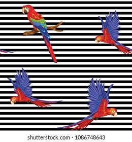 Seamless pattern, background  with parrots.  Realistic drawing, animalism. Vector illustration without gradients and transparency.  On black and white stripes background.