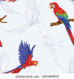 Seamless pattern, background  with parrots.  Realistic drawing, animalism. Vector illustration without gradients.  On blue and white diagonal stripes background. Colored and outline drawing.