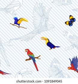 Seamless pattern, background  with parrots and toucans.  Realistic drawing. Vector illustration without gradients.  On blue and white diagonal stripes background. Colored and outline drawing.