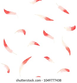 Seamless pattern, background. with pink flamingo feathers on a white background. Stock vector illustration.