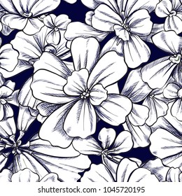 Seamless pattern, background with Pistia plant. Botanical illustration style. Black and white. Stock vector illustration.