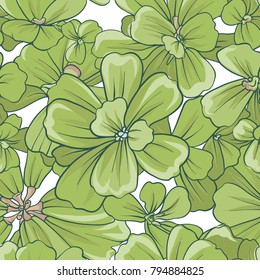 Seamless pattern, background with Pistia plant. Botanical illustration style. Stock vector illustration.
