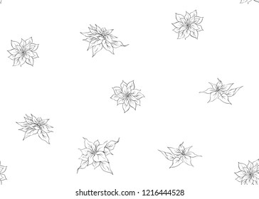 Seamless pattern, background with Poincetti flowers. Outline hand drawing vector illustration.