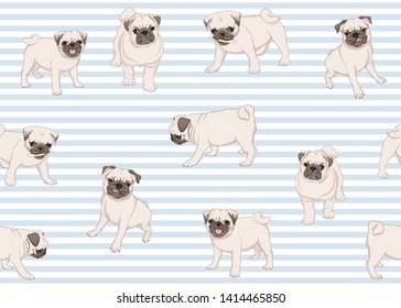 Seamless pattern, background with pug dogs. Colored  design. Vector illustration. On blue and white stripes background.