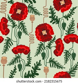 patrón ininterrumpido, fondo con amapolas rojas florecientes, flores silvestres rojas ilustración vectorial