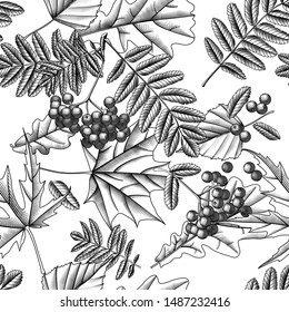 Seamless pattern background with rowan branch and autumn leaves isolated on white. Vintage black and white engraving stylized drawing. Vector illustration