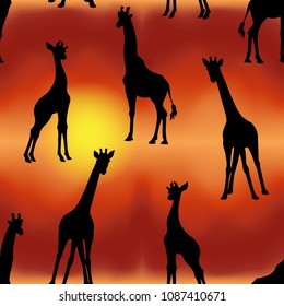 Seamless pattern, background with silhouettes  giraffes on sunset background. Vector illustration.