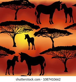 Seamless pattern, background with silhouettes of  zebras on sunset background. Vector illustration.