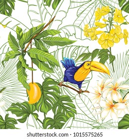 Seamless pattern, background with toucan and tropical plants on white background.   Hand drawn colorful vector illustration without transparent and gradients.