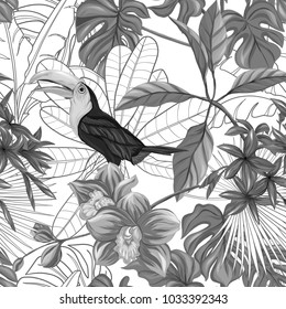 Seamless pattern, background with toucan and tropical plants on white background. Hand drawn monochrome vector illustration without transparent and gradients.
