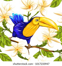 Seamless pattern, background with toucan and white plumeria on white background. Hand drawn colorful vector illustration without transparent and gradients.