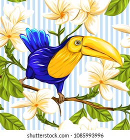 Seamless pattern, background with toucan and white plumeria on blue and white stripes background. Hand drawn colorful vector illustration without transparent and gradients.