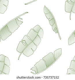 Seamless Pattern and Background with tropical banana leaves