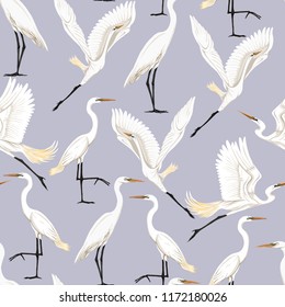 Seamless pattern, background with tropical birds. White heron, cockatoo parrot. Colored vector illustration
