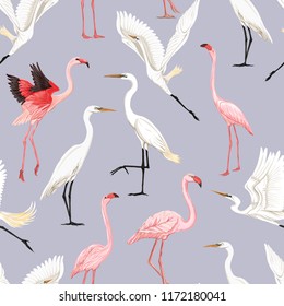 Seamless pattern, background with tropical birds. White heron,cockatoo parrot, flamingo. Colored vector illustration
