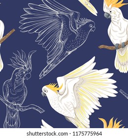 Seamless pattern, background with tropical birds. White heron, cockatoo parrot,  Colored and outline design on navy blue background.. Vector illustration.

