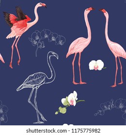 Seamless pattern, background with tropical birds.  flamingo and orchid flower. Colored and outline design on navy blue background.. Vector illustration.
