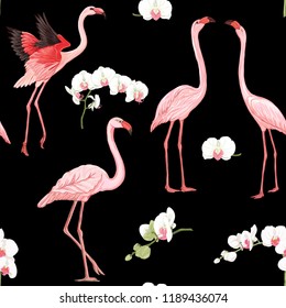 Seamless pattern, background with tropical birds. flamingo and orchid flower.. Colored and outline design on navy blue background.. Vector illustration. Isolated on black background.
