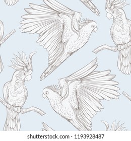 Seamless pattern, background with tropical birds. White heron,cockatoo parrot. Vector illustration. Graphic drawing, engraving style. vector illustration. In vintage blue and beige colors.
