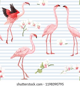 Seamless pattern, background with tropical birds. flamingo and orchid flower. Colored vector illustration. On blue and white stripes background.
