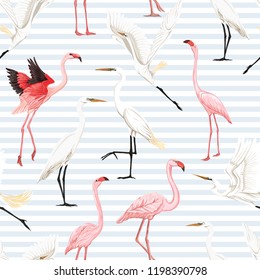 Seamless pattern, background with tropical birds. White heron,flamingo. Colored vector illustration. On blue and white stripes background.