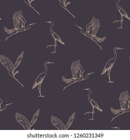 Seamless pattern, background with tropical birds. White heron,cockatoo parrot. Vector illustration. Graphic drawing, engraving style. vector illustration.
