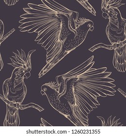 Seamless pattern, background with tropical birds. White heron,cockatoo parrot. Vector illustration. Graphic drawing, engraving style. vector illustration.
