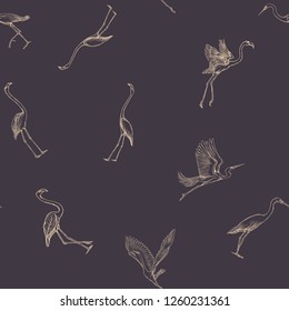 Seamless pattern, background with tropical birds. White heron, flamingo. Vector illustration. Graphic drawing, engraving style. vector illustration.