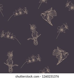 Seamless pattern, background with tropical birds. cockatoo parrot and orchid flower. Vector illustration. Graphic drawing, engraving style. vector illustration.