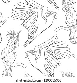 Seamless pattern, background with tropical birds. White heron, cockatoo parrot. Outline hand drawing vector illustration.
