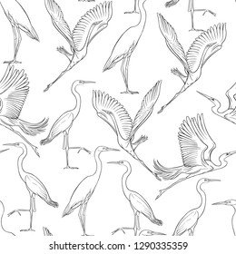 Seamless pattern, background with tropical birds. White heron, cockatoo parrot. Outline hand drawing vector illustration.
