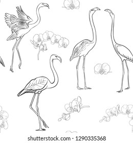 Seamless pattern, background with tropical birds. flamingo and orchid flower. Outline hand drawing vector illustration.
