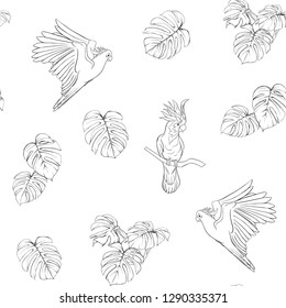 Seamless pattern, background with tropical birds. White heron, cockatoo parrot. Outline hand drawing vector illustration.
