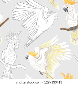 Seamless pattern, background with tropical birds. White heron, cockatoo parrot. Colored and outline design on soft grey background.. Vector illustration.
