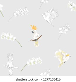 Seamless pattern, background with tropical birds. cockatoo parrot and orchid flower. Colored and outline design on soft grey background.. Vector illustration.
