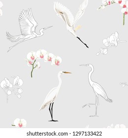 Seamless pattern, background with tropical birds. White heron, cockatoo parrot. Colored and outline design on soft grey background.. Vector illustration.
