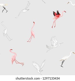 Seamless pattern, background with tropical birds. White heron, flamingo. Colored and outline design on soft grey background.. Vector illustration.