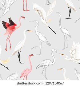 Seamless pattern, background with tropical birds. White heron, flamingo. Colored and outline design on soft grey background.. Vector illustration.
