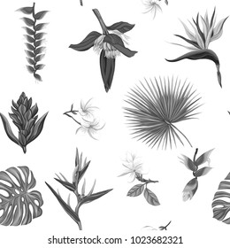 Seamless pattern, background with tropical plants.  Hand drawn monochrome vector illustration without transparent and gradients.