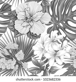 Seamless pattern, background with tropical plants.  Hand drawn monochrome vector illustration without transparent and gradients.