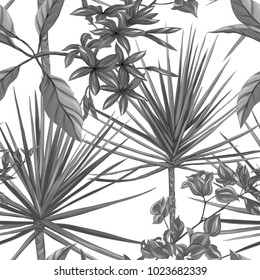 Seamless pattern, background with tropical plants.  Hand drawn monochrome vector illustration without transparent and gradients.