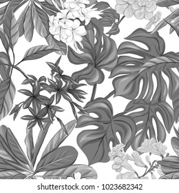 Seamless pattern, background with tropical plants.  Hand drawn monochrome vector illustration without transparent and gradients.